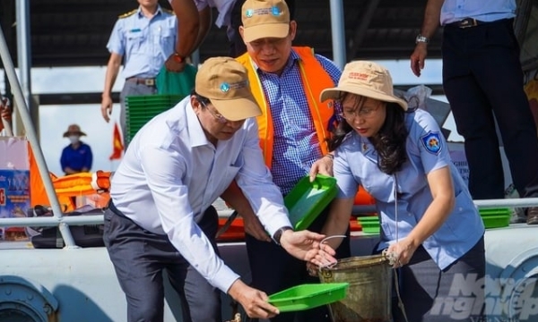 1.5 million shrimp and crab seeds were released into Soc Trang waters